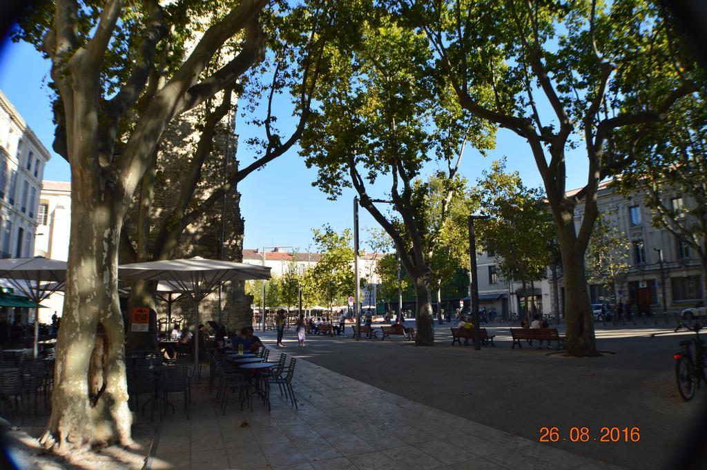 Hyper Centre D'avignon Appartement *